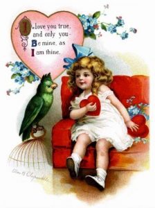 Parrot speaking and Serenading